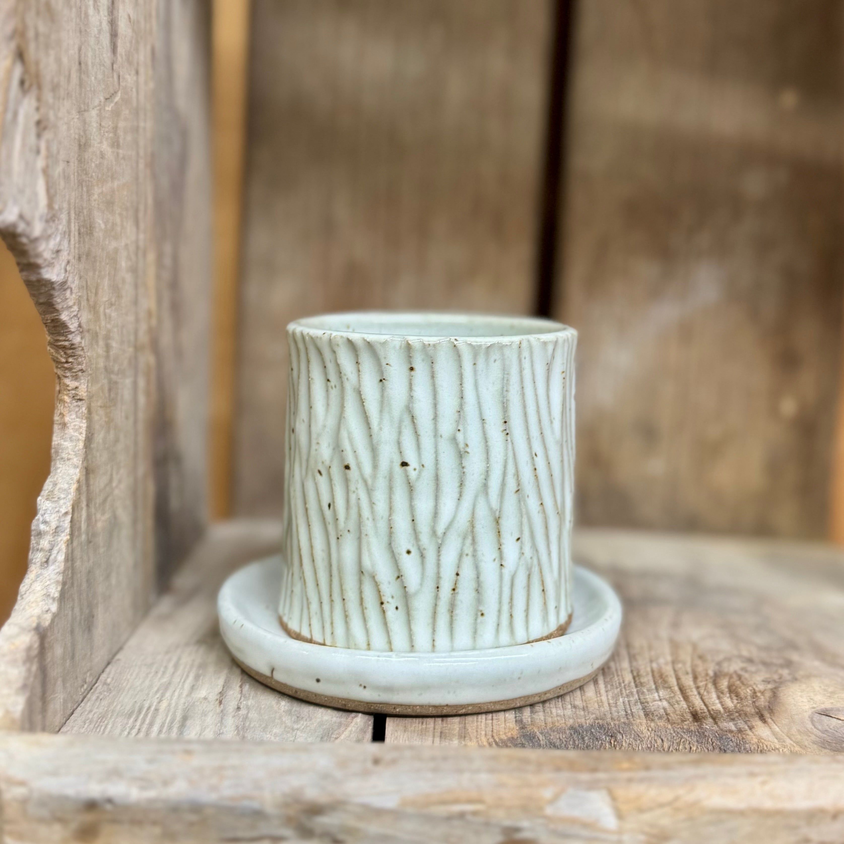 Tiny Planter {White Bark}
